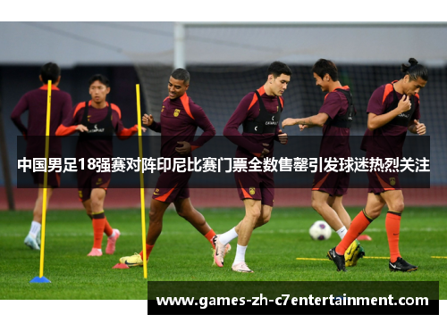 中国男足18强赛对阵印尼比赛门票全数售罄引发球迷热烈关注
