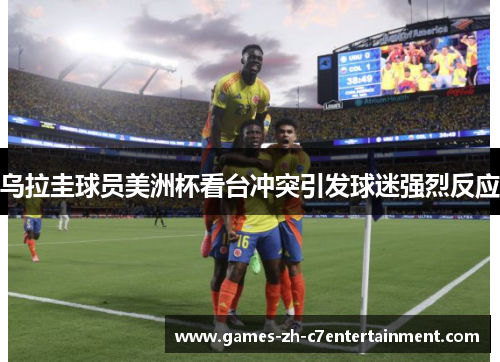 乌拉圭球员美洲杯看台冲突引发球迷强烈反应 乌拉圭球员美洲杯看台冲突引发球迷强烈反应