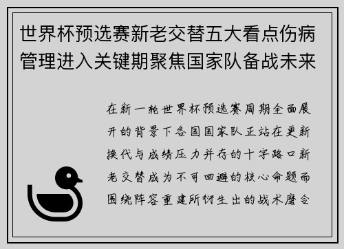 世界杯预选赛新老交替五大看点伤病管理进入关键期聚焦国家队备战未来